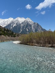 上高地 梓川 ケショウヤナギ 長野県