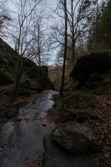 stream on a mountain in the Basque country