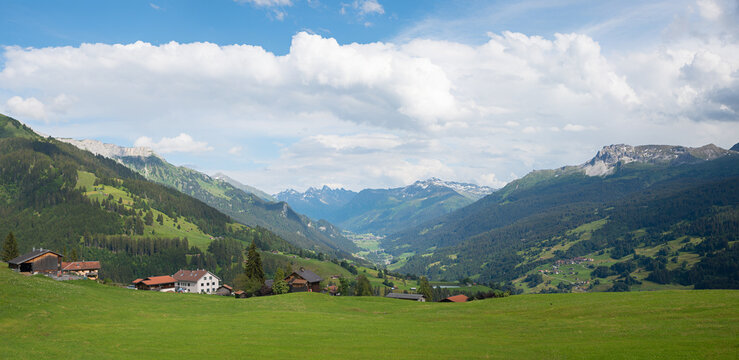 alpine landscape with green meadow, tourist resort Pany, canton grisons switzerland