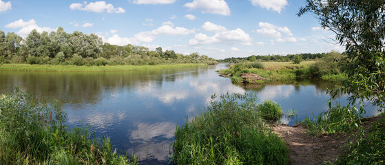 Trees, bushes and water - summer landscape near the Berezina river in Belarus