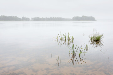 The nature of Belarus, a calm cloudy summer day on the Vileika reservoir