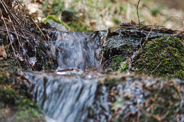 A small stream in the forest