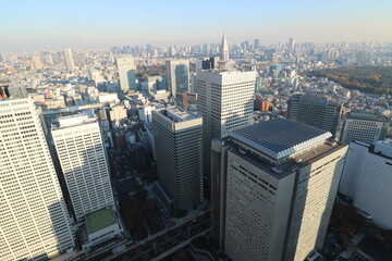 Fototapeta na wymiar 東京都庁の展望室からの都内の眺め