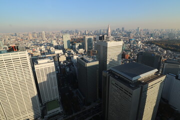 Fototapeta na wymiar 東京都庁の展望室からの都内の眺め