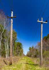 Fototapeta na wymiar Massachusetts-Boxford-power lines