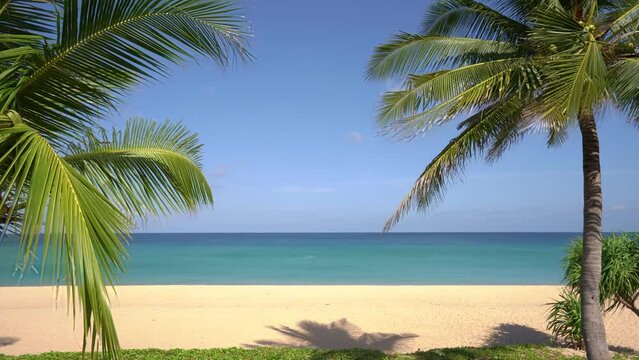 Coconut Palm trees on the beach landscape in sunny summer day Good weather day background Palm leaves frame nature landscape