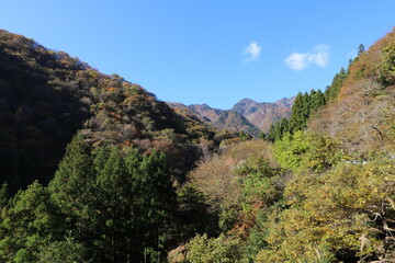 Fototapeta na wymiar 秋の埼玉県秩父の両神山の登山