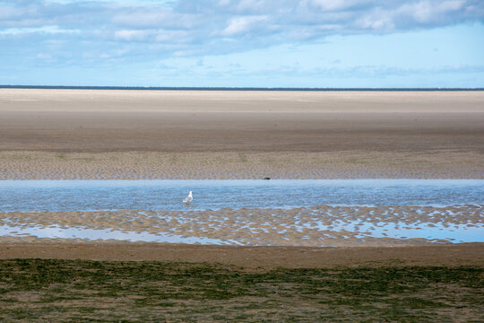 Beautiful shot of a pond with a bird in it and surrounded with sand and grass