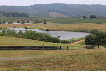 Scenic landscape of a countryside with vineyards near Monticello in Virginia, USA