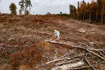 biologist doing pest and insect control on a logging area 01