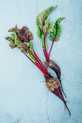 Freshly harvested  whole raw organic farmer beetroot  with green leaves over blue grey background...