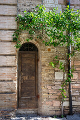 Typical ancient house facade in the medieval village of Assisi (Umbria, central Italy). It's world famous as the city of St. Francis.