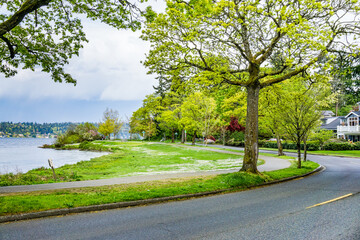 Lake Washington Boulevard Spring