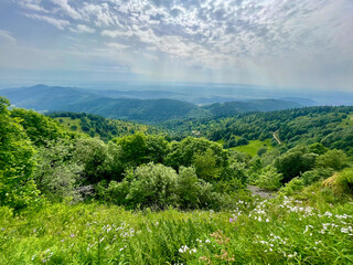 Fototapeta na wymiar Aerial point of view on the magnificent mountains of the green vosges, with its thick forests, its grass, its flowers, on a beautiful summer day