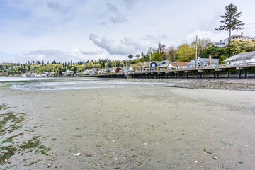 Redondo Beach Shoreline Landscape 11