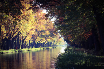 Scenic view of a river surrounded by trees during autumn