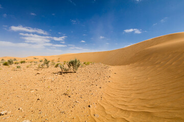 Fototapeta na wymiar Sandy desert, Beautiful landscape in moroccan desert, maroc