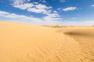 Fototapeta na wymiar Sandy desert, Beautiful landscape in moroccan desert, maroc