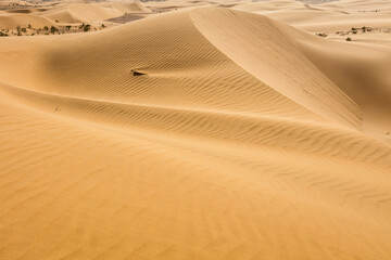 Sandy desert, Beautiful landscape in moroccan desert, maroc