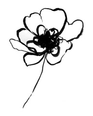 Abstract flower hand drawn. Black brush flower silhouette. Ink drawing wild plants, herbs or flowers, monochrome botanical illustration. Poppy, peony.