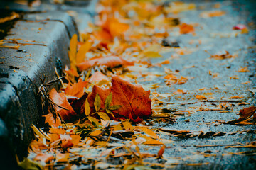 Hoja de otoño en la acera vereda con agua charcos foto con perspectiva desde abajo
