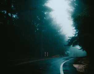 Carretera calle camino en el bosque con niebla neblina