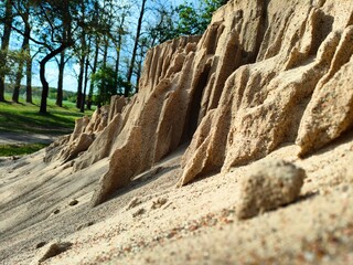 rocks and trees