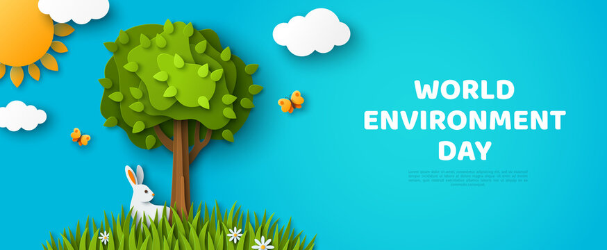 World Environment day header. Beautiful fluffy cloud, blue sky background, summer sun, butterfly, green grass lawn, paper cut tree. Vector illustration. Eco friendly banner design, ecosystem concept