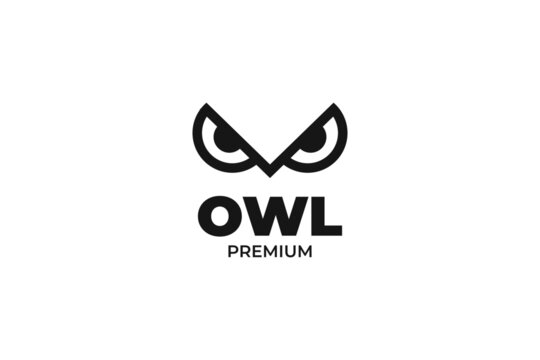 Flat eyes owl bird logo design vector template