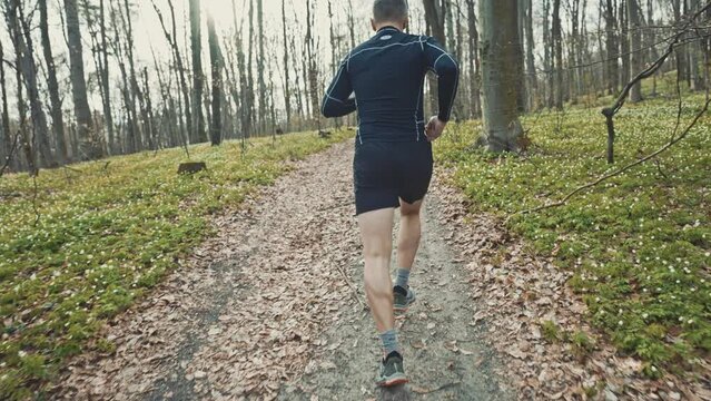 wide 4k slow motion shot of sporty man running in beautiful spring forest. Sport and wellness concept
