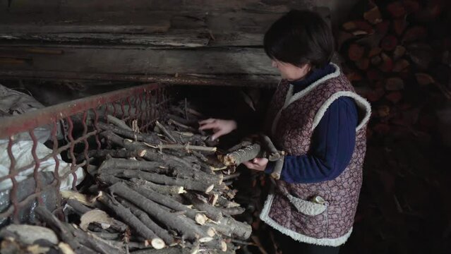 An Elderly Woman In An Old Abandoned Barn Gathers A Handful Of Firewood. The Concept Of Poverty.Loneliness In Old Age. Rural Life.A Large Pile Of Firewood To Light The Fireplace. Smoth Camera Movement