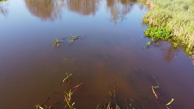 Flight at low altitude, above the water surface.