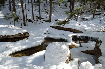 River in the snow