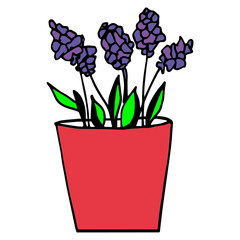 Flower illustration Red flower in the pot.  Spring flowers