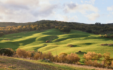 green hill meadow sunny mountain