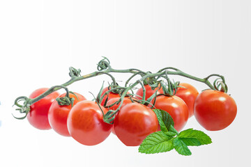 Ripe and fresh bunch of red tomatoes with green stems and leaves of mint, isolated on white background, with space for text