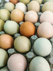 Huevos organicos frescos de granja con cáscaras multicolores
