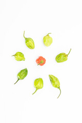 Spicy naga chili with chili powder isolate on white background, top view