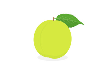 葉っぱ付きの熟していない黄緑色の梅の実 - 梅酒・梅仕事のイメージ素材
