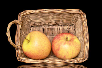Two sweet ripe apples with a basket of vines, close-up, isolated on a black background.