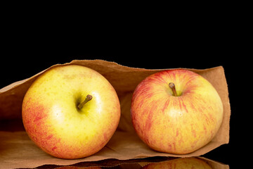 Two sweet ripe apples in a paper bag, close-up, isolated on a black background.