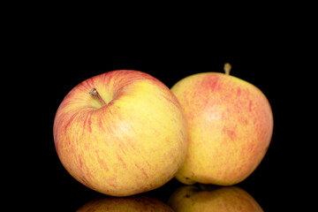 Two sweet ripe apples, close-up, isolated on a black background.