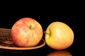 Two sweet ripe apples with a clay plate, close-up, isolated on a black background.