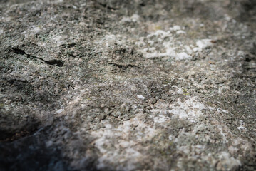 Texture, background layers and cracks in sedimentary rock on cliff face. Cliff of rock mountain.