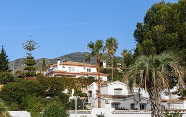 White houses among palm trees