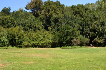 Fototapeta premium Jorge Alexander park and zoo in southern Chile