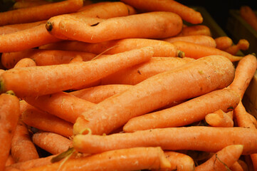 Carrot orange. Fresh vegetables, healthy food, diet, vitamins. Harvesting.
