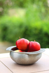 Silver bowl filled with red apples in the garden. Selective focus.
