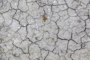 Dry and abandoned land