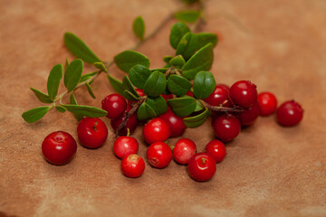 Red cowberry on brown background closeup. Healthy fruit and berry.